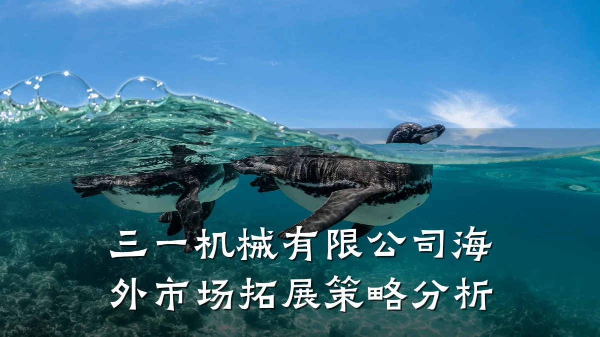 三一机械有限公司海外市场拓展策略分析