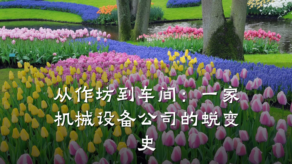 从作坊到车间:一家机械设备公司的蜕变史