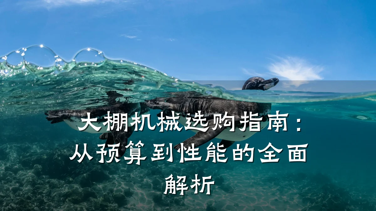 大棚机械选购指南:从预算到性能的全面解析