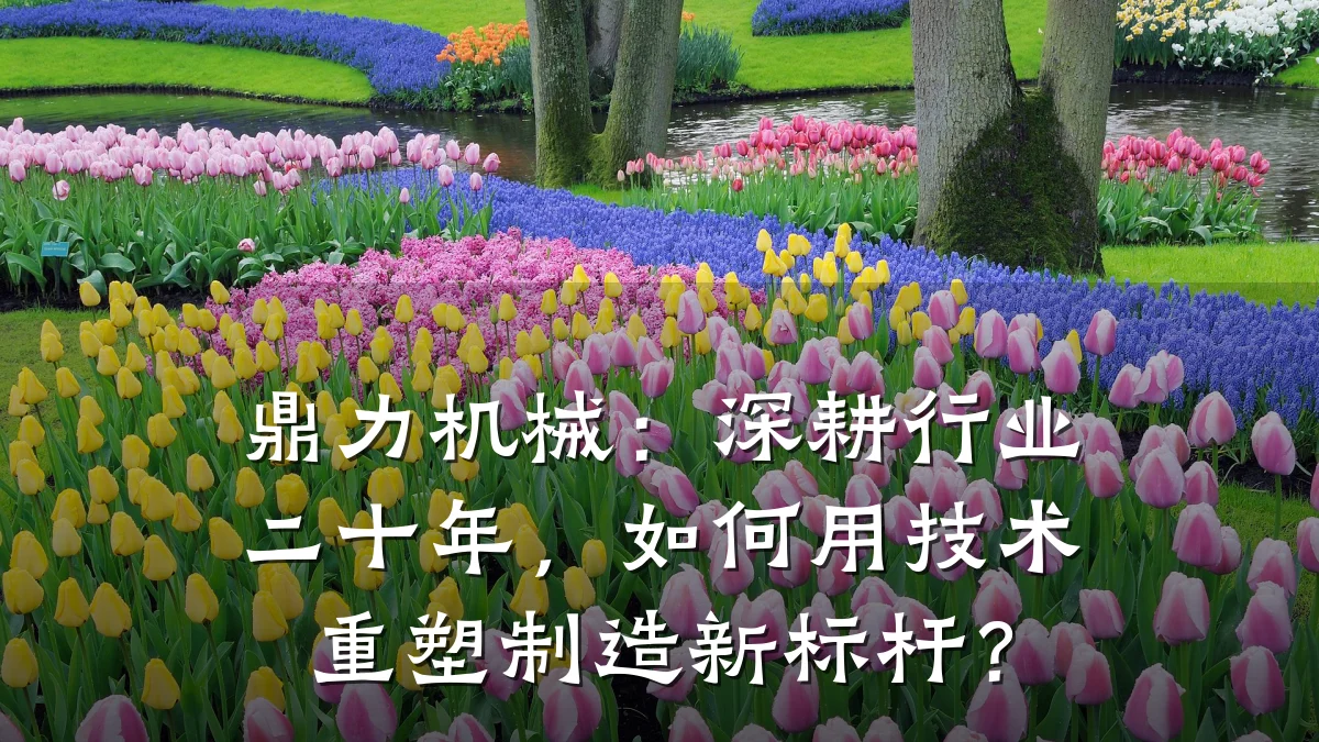 鼎力机械：深耕行业二十年，如何用技术重塑制造新标杆？