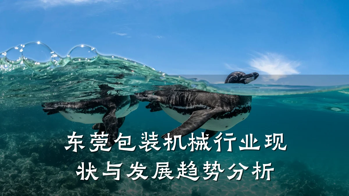 东莞包装机械行业现状与发展趋势分析