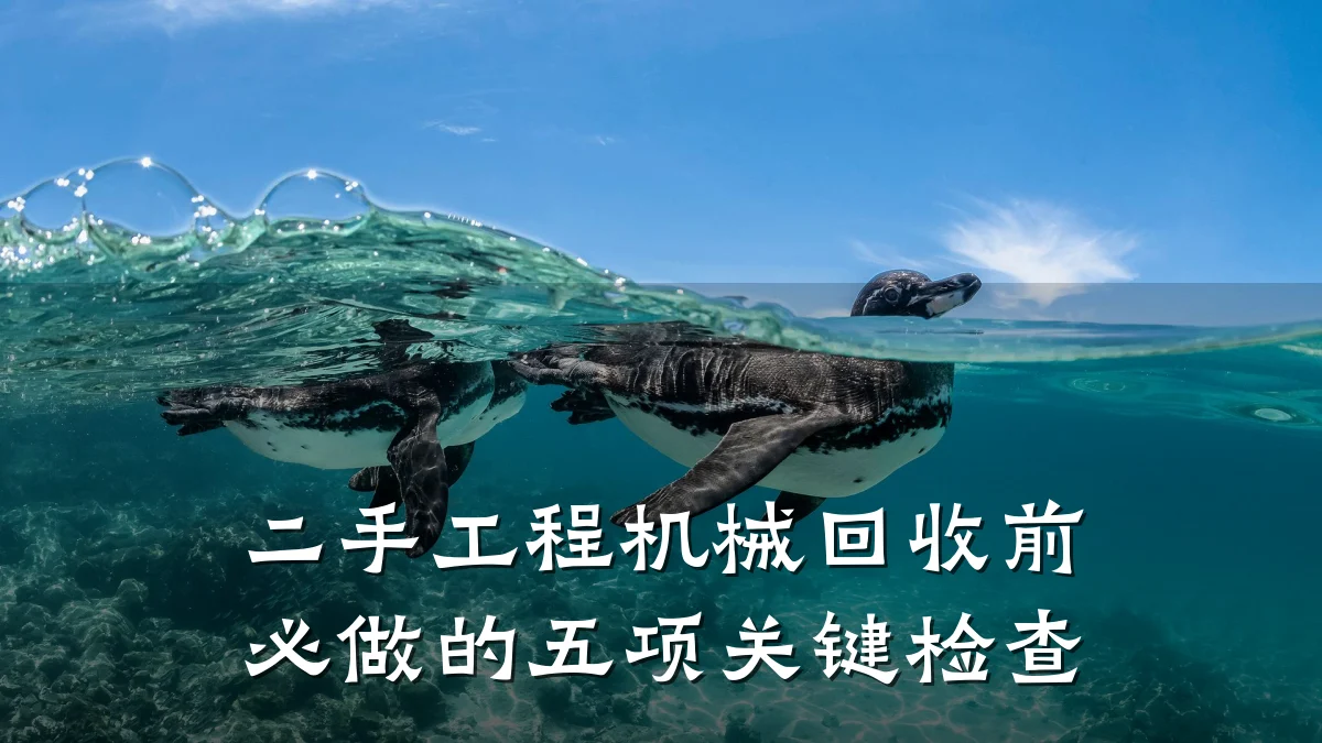 二手工程机械回收前必做的五项关键检查