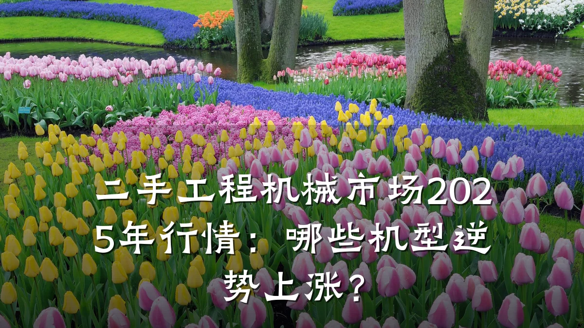 二手工程机械市场2025年行情:哪些机型逆势上涨?