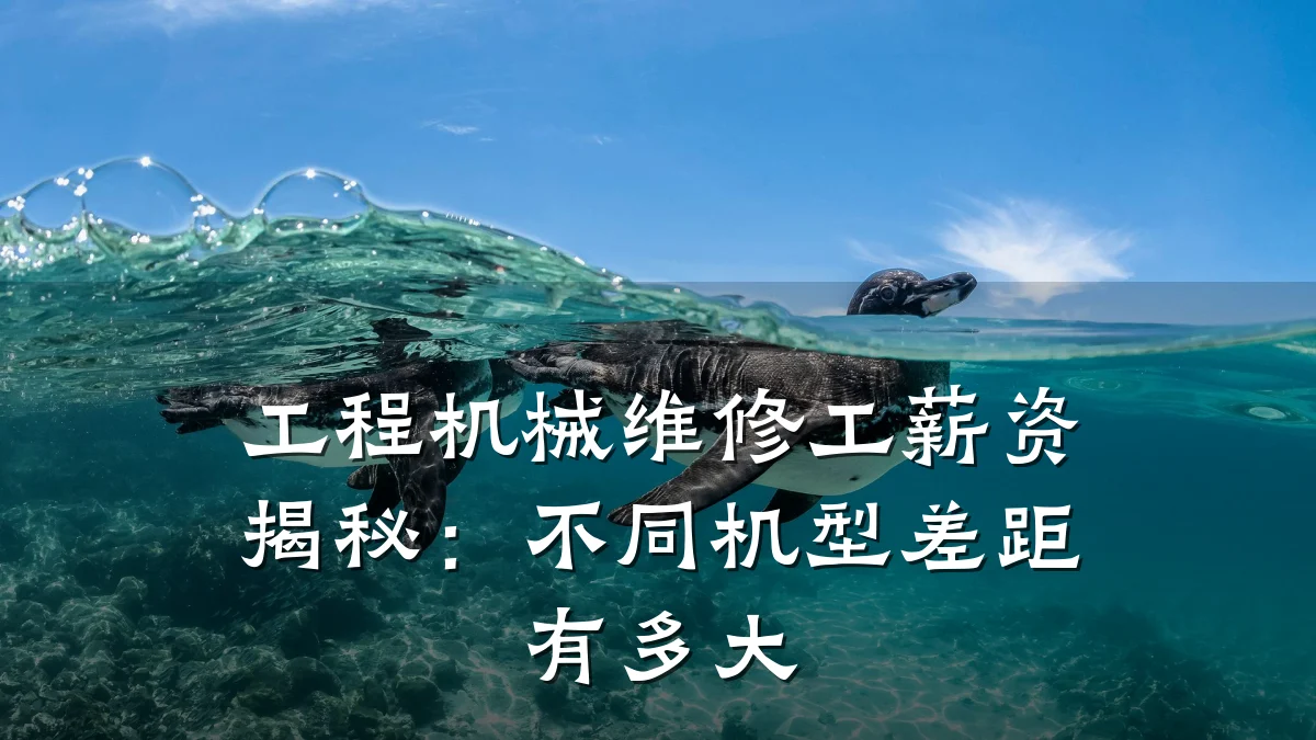 工程机械维修工薪资揭秘:不同机型差距有多大