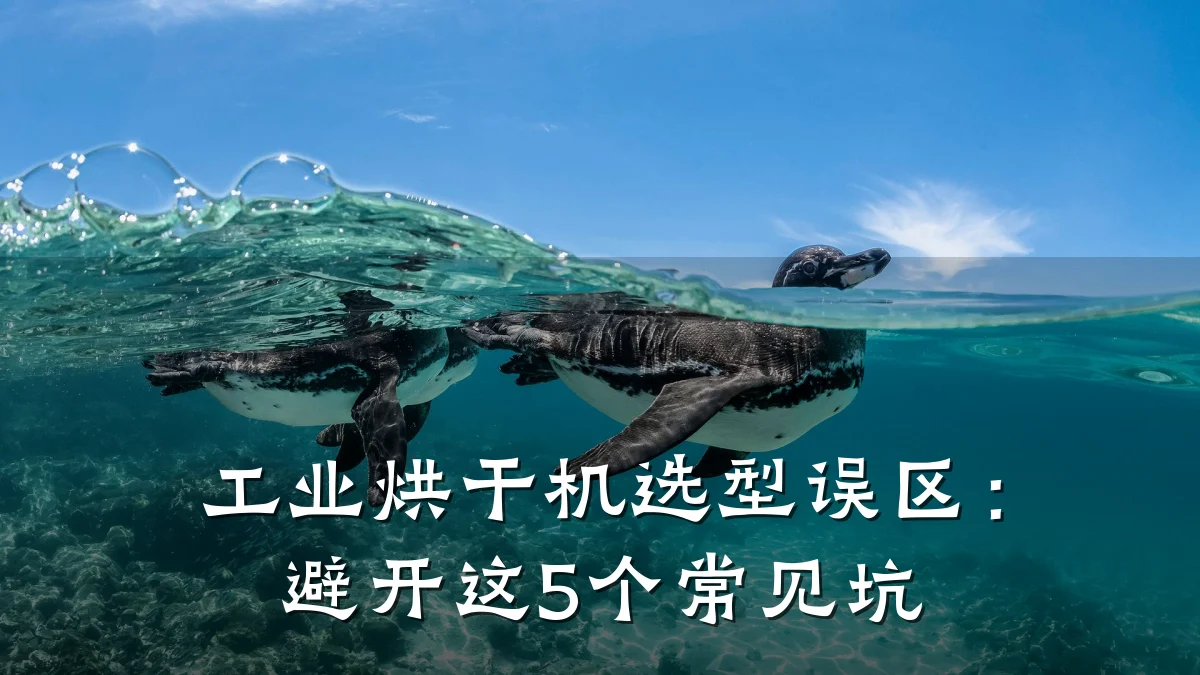 工业烘干机选型误区：避开这5个常见坑