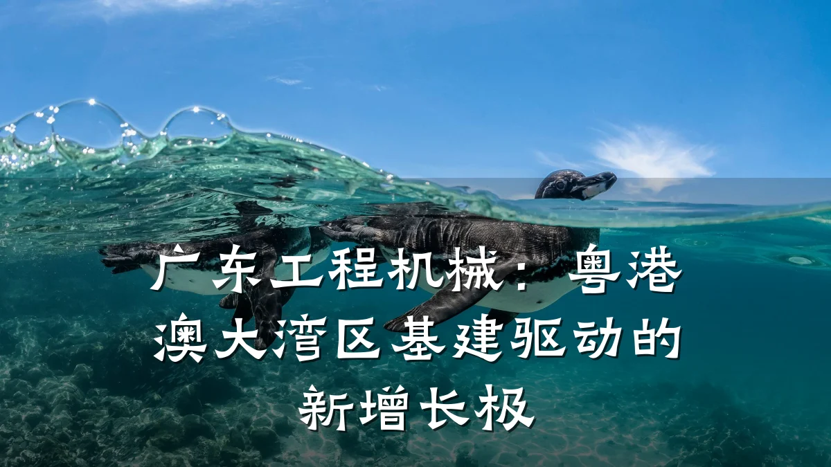 广东工程机械:粤港澳大湾区基建驱动的新增长极