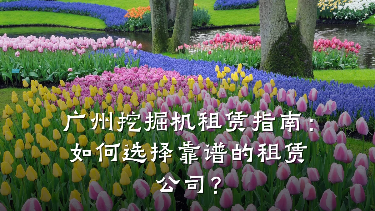 广州挖掘机租赁指南:如何选择靠谱的租赁公司?