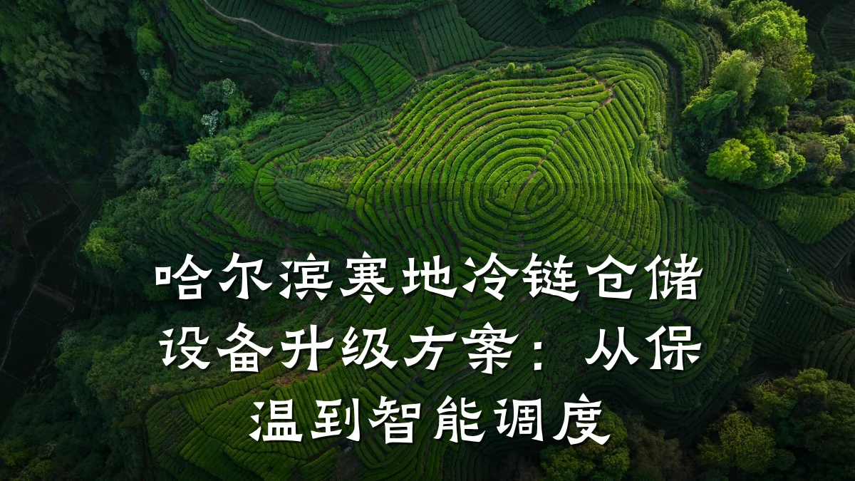 哈尔滨寒地冷链仓储设备升级方案:从保温到智能调度