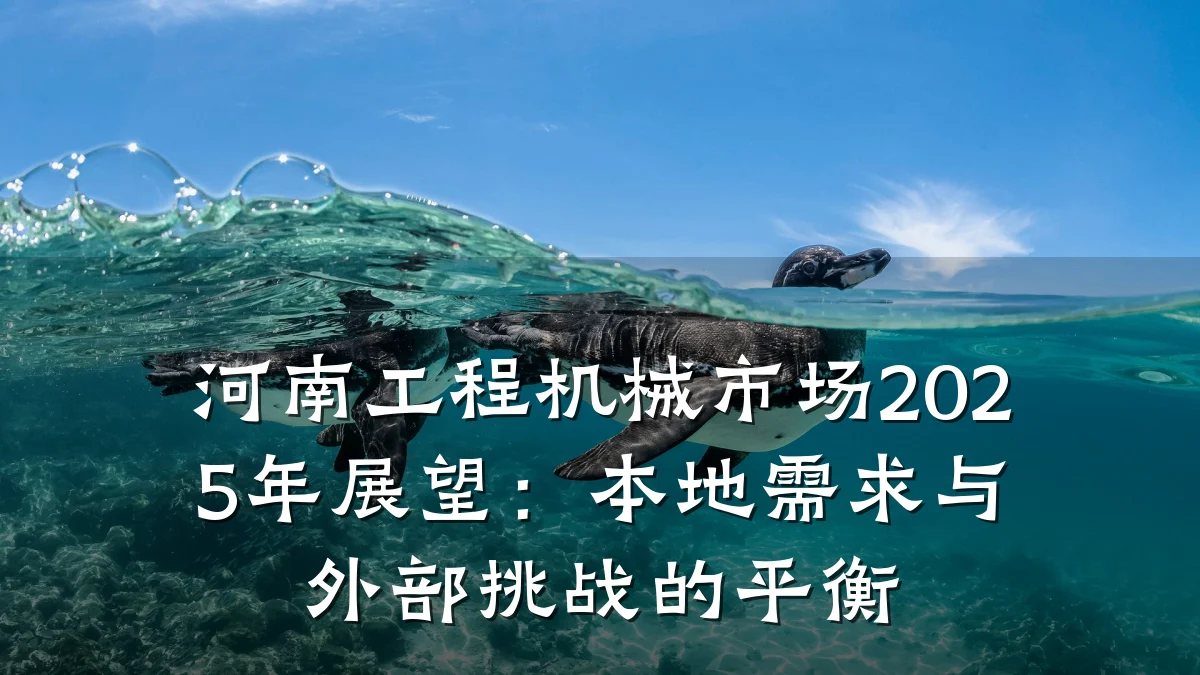河南工程机械市场2025年展望:本地需求与外部挑战的平衡