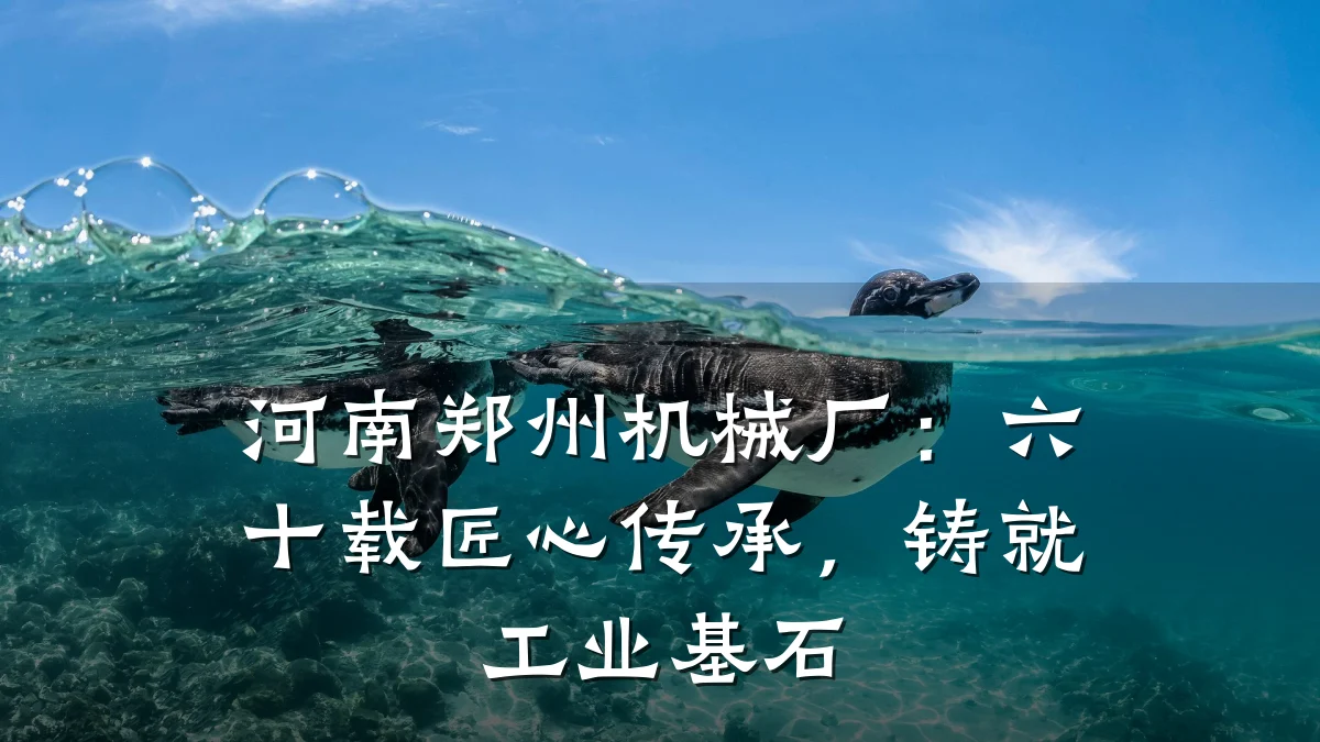 河南郑州机械厂:六十载匠心传承,铸就工业基石