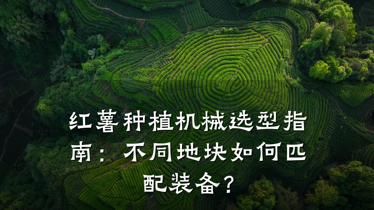 红薯种植机械选型指南:不同地块如何匹配装备?