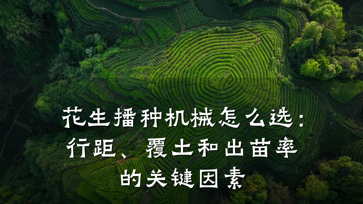 花生播种机械怎么选：行距、覆土和出苗率的关键因素