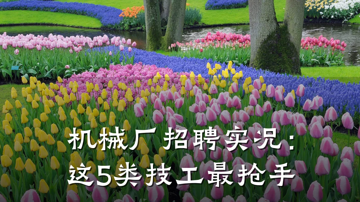 机械厂招聘实况：这5类技工最抢手