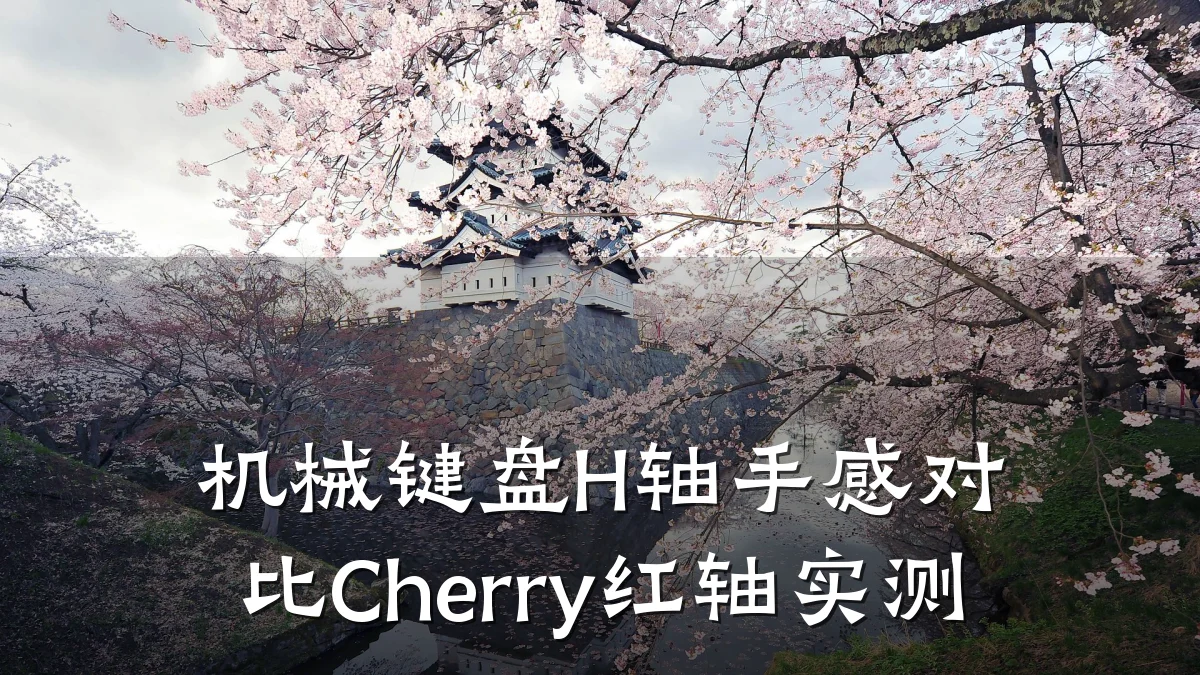 机械键盘H轴手感对比Cherry红轴实测