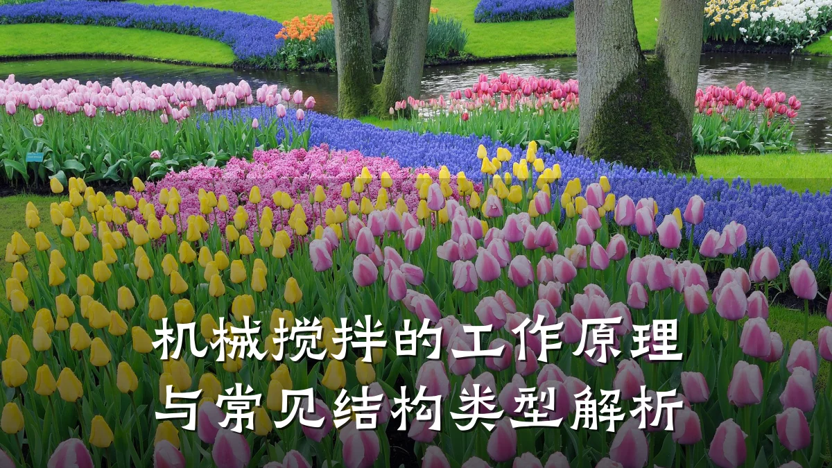 机械搅拌的工作原理与常见结构类型解析