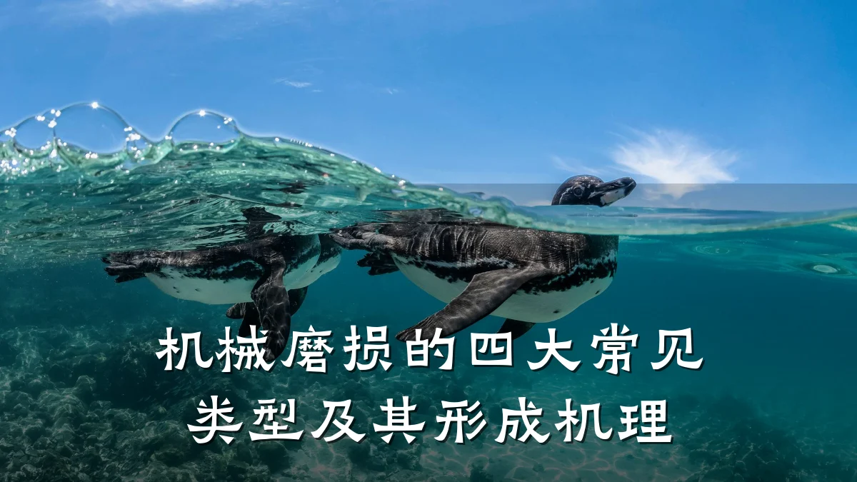 机械磨损的四大常见类型及其形成机理