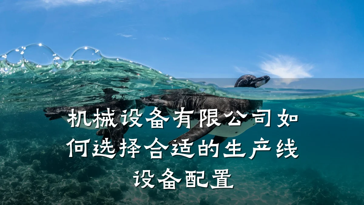机械设备有限公司如何选择合适的生产线设备配置
