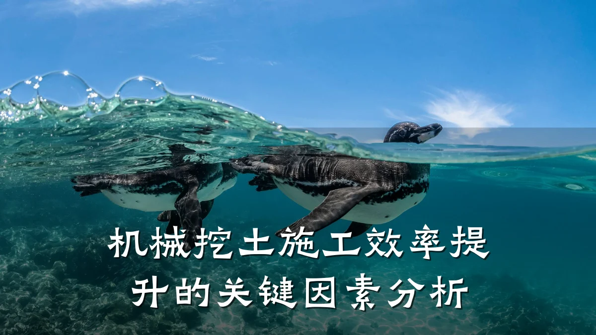 机械挖土施工效率提升的关键因素分析