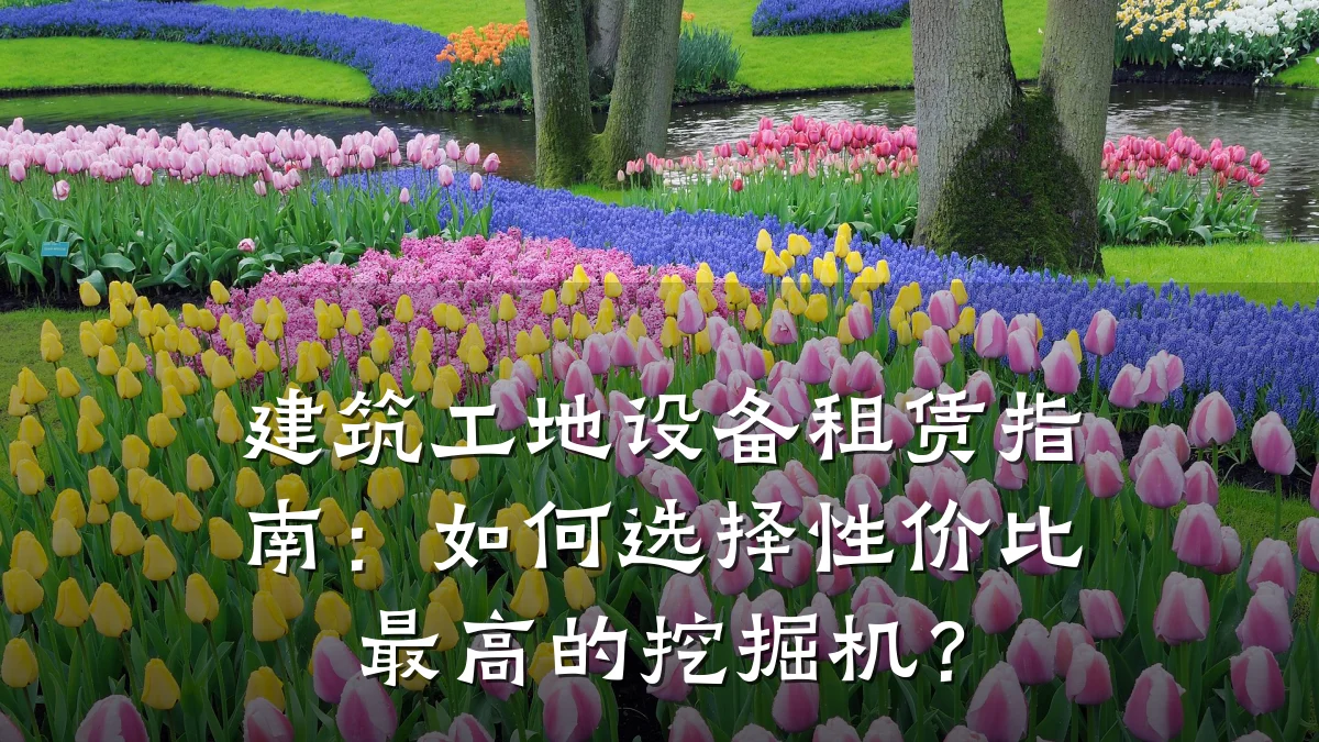 建筑工地设备租赁指南:如何选择性价比最高的挖掘机?