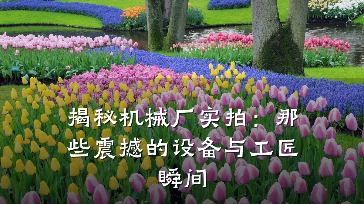 揭秘机械厂实拍:那些震撼的设备与工匠瞬间