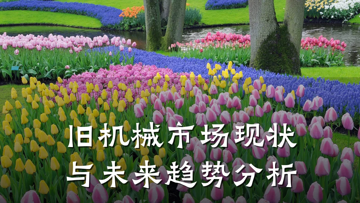旧机械市场现状与未来趋势分析