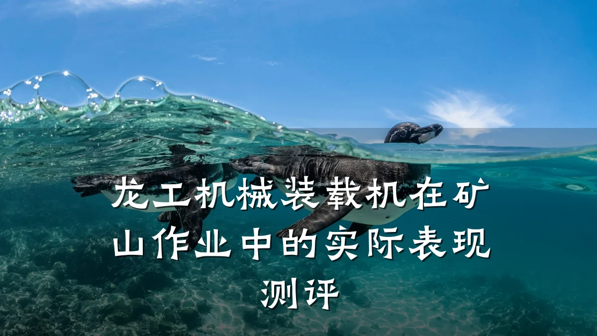 龙工机械装载机在矿山作业中的实际表现测评