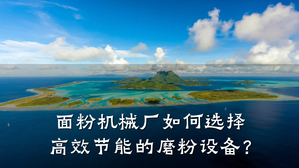面粉机械厂如何选择高效节能的磨粉设备？