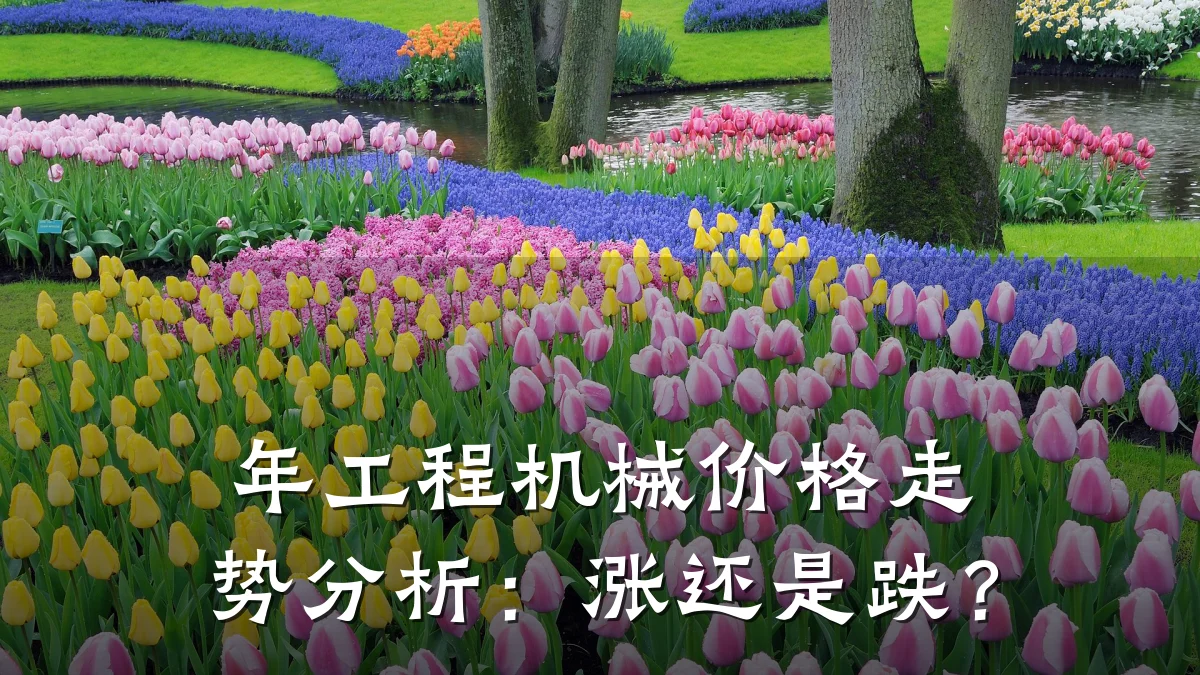 年工程机械价格走势分析:涨还是跌?