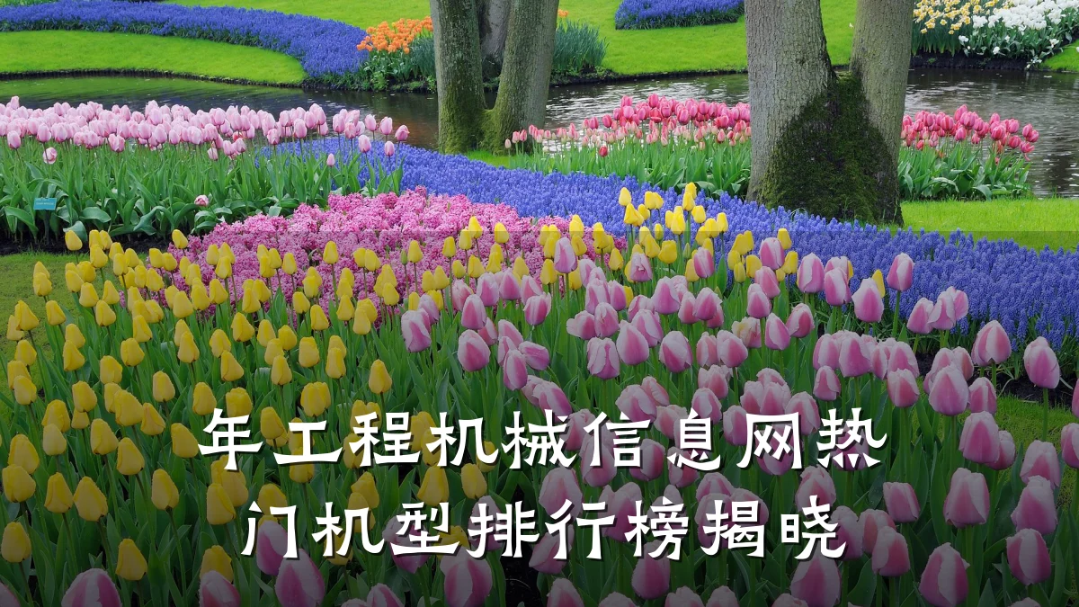 年工程机械信息网热门机型排行榜揭晓