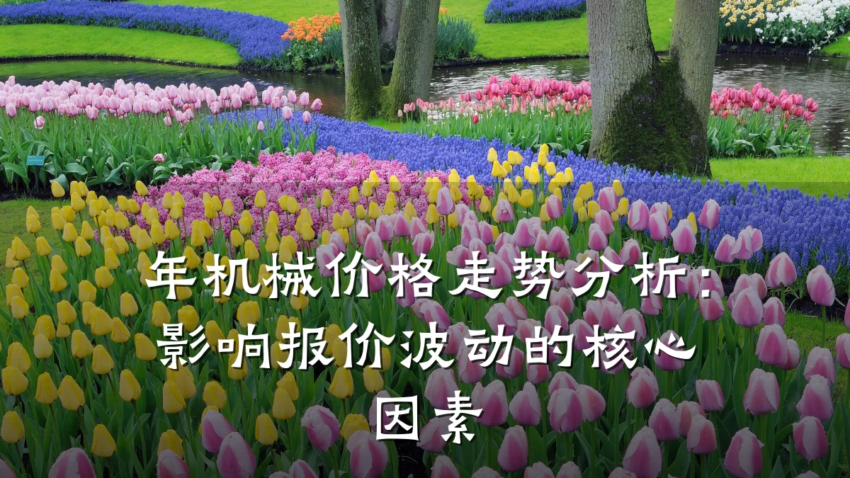 年机械价格走势分析：影响报价波动的核心因素