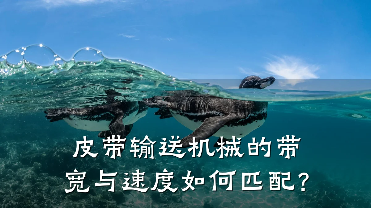 皮带输送机械的带宽与速度如何匹配？