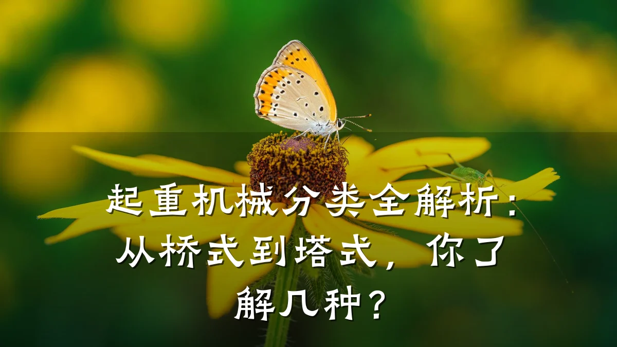 起重机械分类全解析:从桥式到塔式,你了解几种?