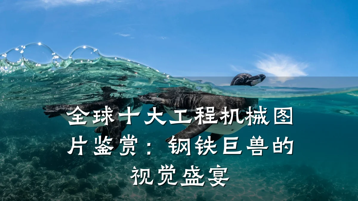 全球十大工程机械图片鉴赏:钢铁巨兽的视觉盛宴