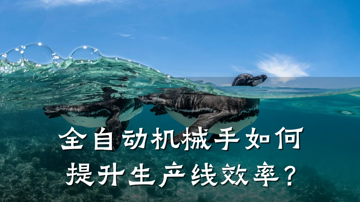 全自动机械手如何提升生产线效率?