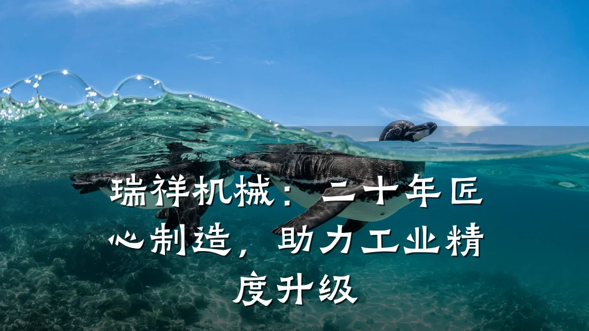 瑞祥机械:二十年匠心制造,助力工业精度升级