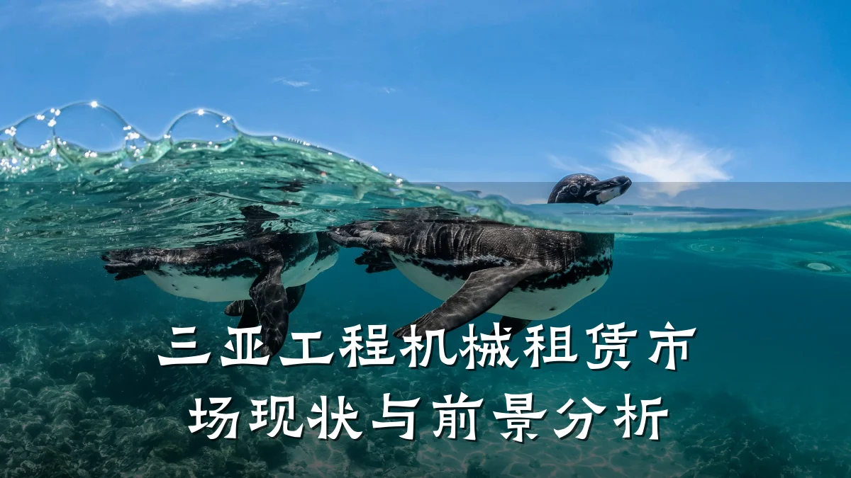 三亚工程机械租赁市场现状与前景分析