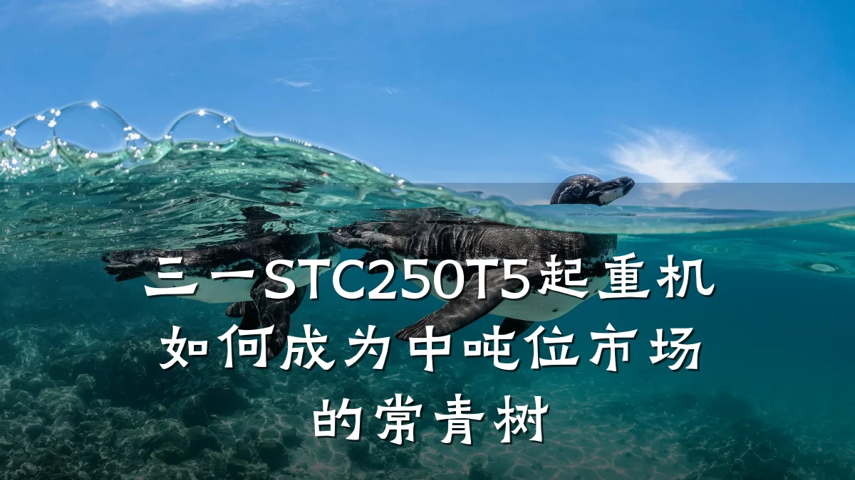 三一STC250T5起重机如何成为中吨位市场的常青树