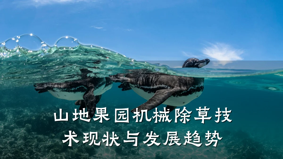 山地果园机械除草技术现状与发展趋势