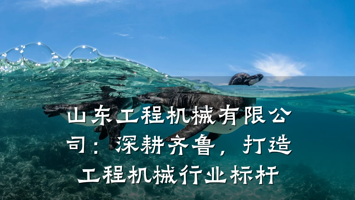 山东工程机械有限公司:深耕齐鲁,打造工程机械行业标杆