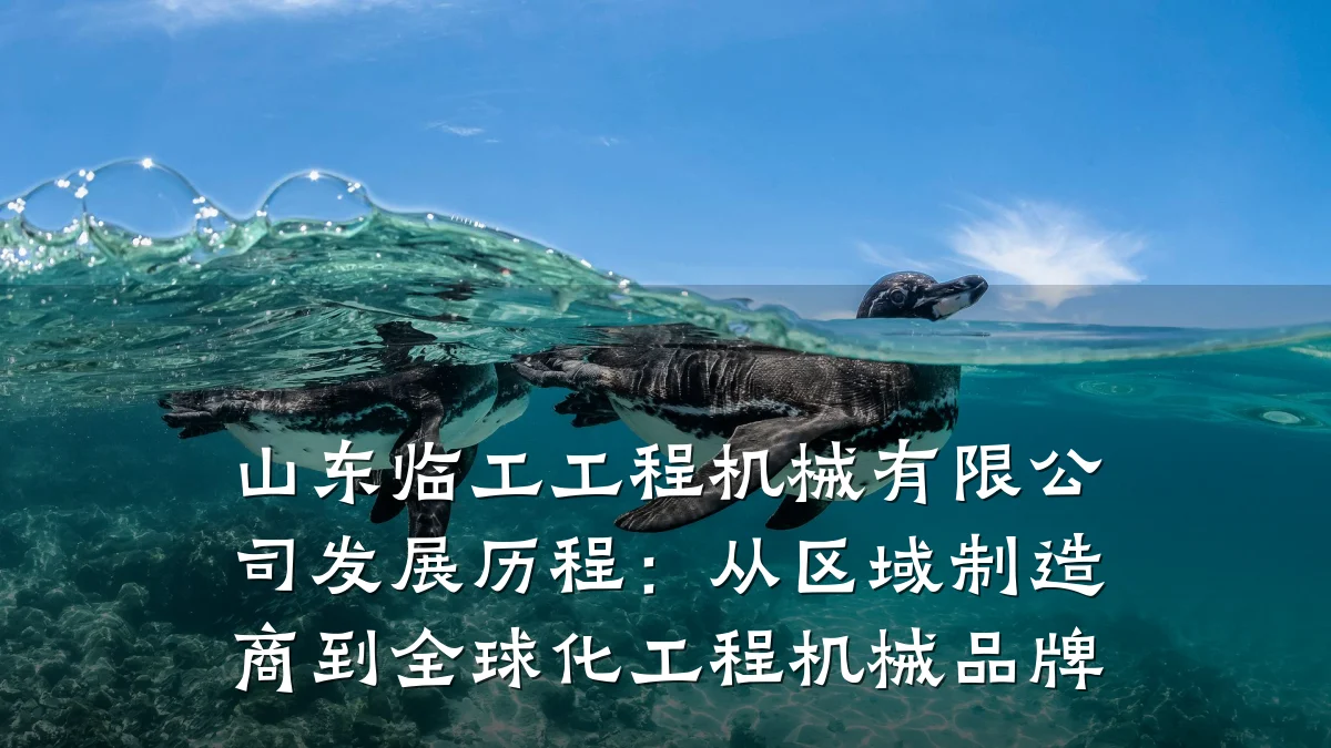 山东临工工程机械有限公司发展历程：从区域制造商到全球化工程机械品牌