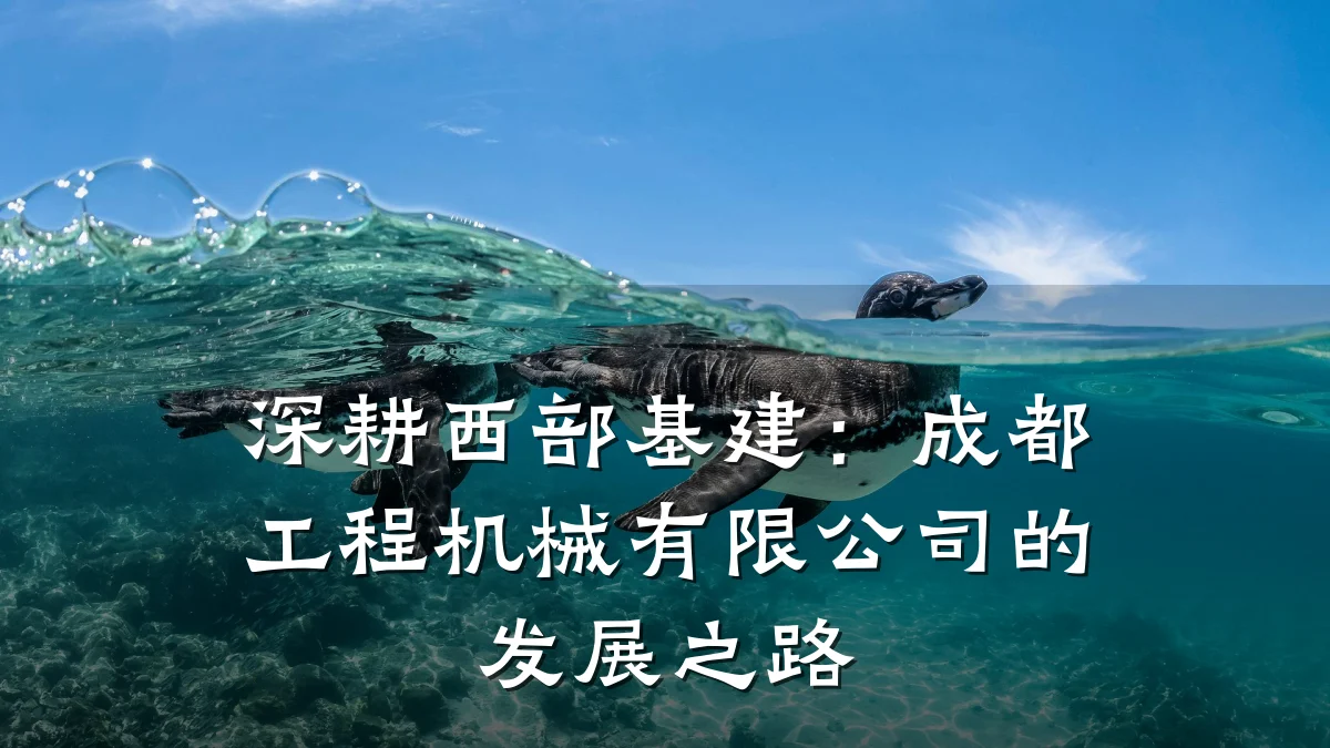 深耕西部基建:成都工程机械有限公司的发展之路