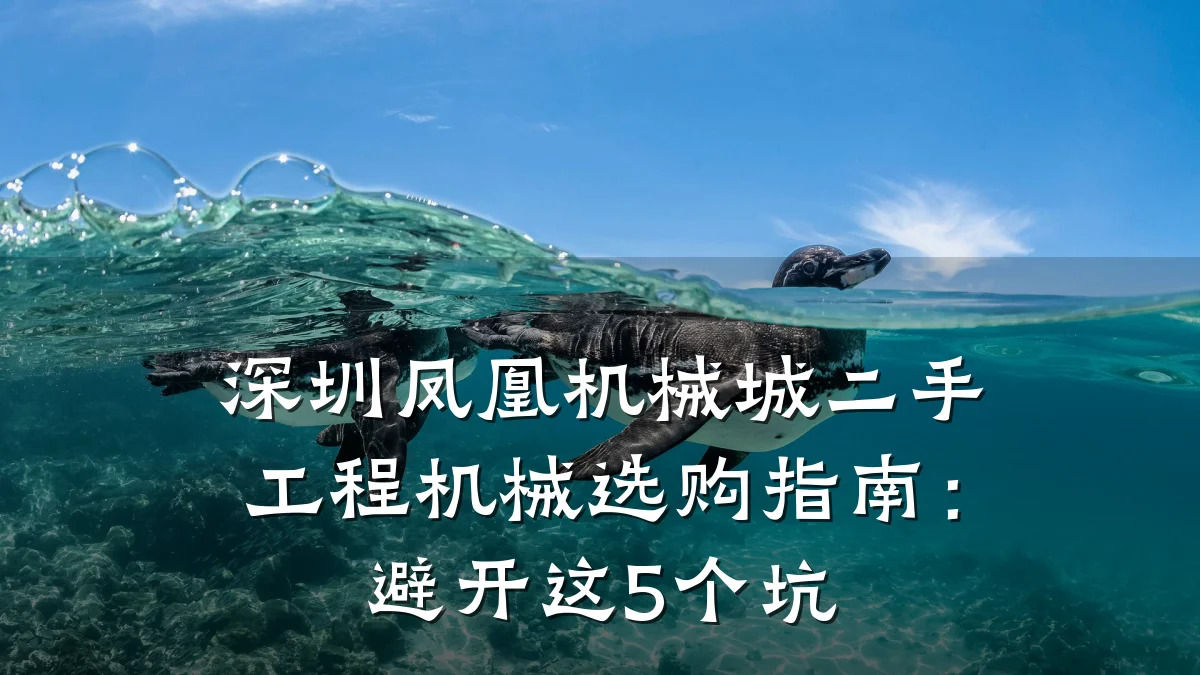 深圳凤凰机械城二手工程机械选购指南:避开这5个坑