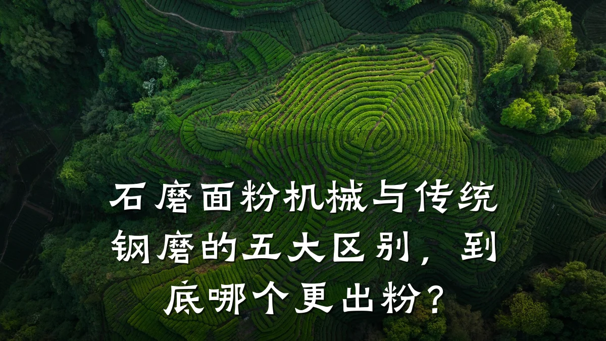 石磨面粉机械与传统钢磨的五大区别,到底哪个更出粉?