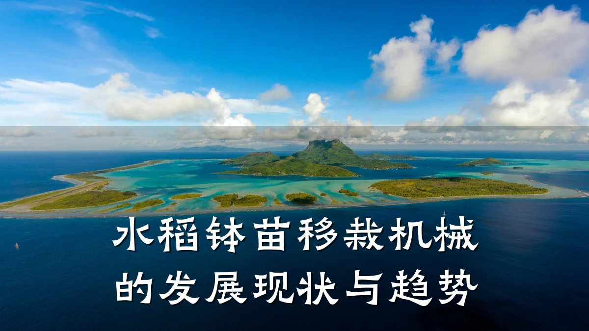 水稻钵苗移栽机械的发展现状与趋势