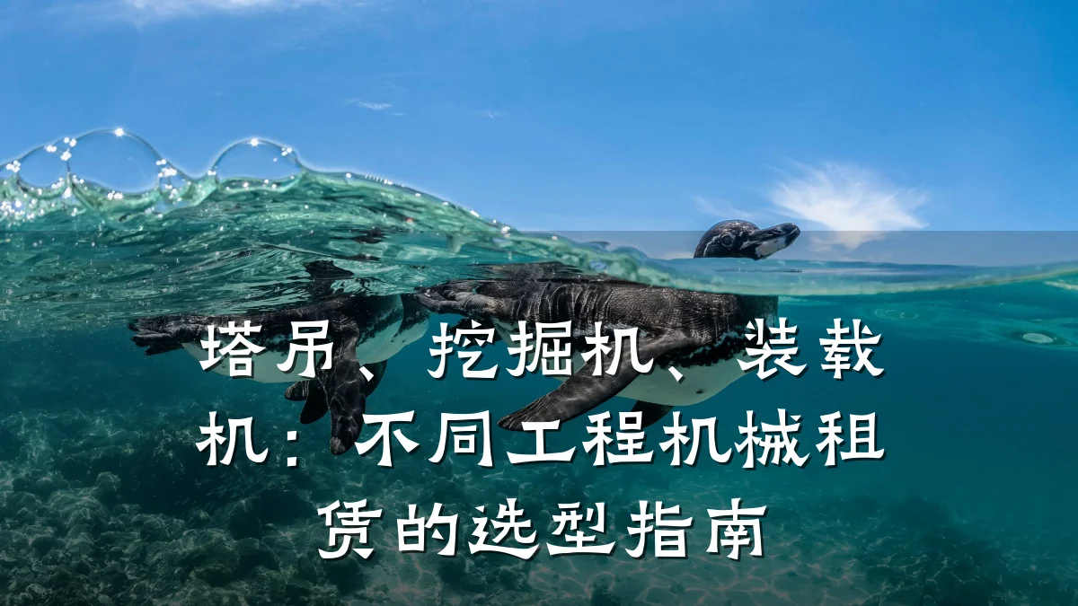 塔吊、挖掘机、装载机:不同工程机械租赁的选型指南