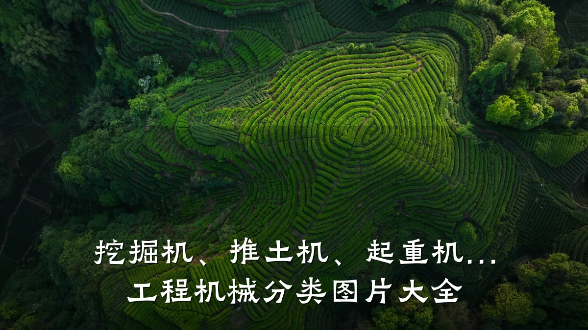挖掘机、推土机、起重机… 工程机械分类图片大全
