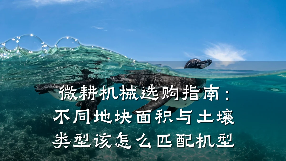 微耕机械选购指南：不同地块面积与土壤类型该怎么匹配机型