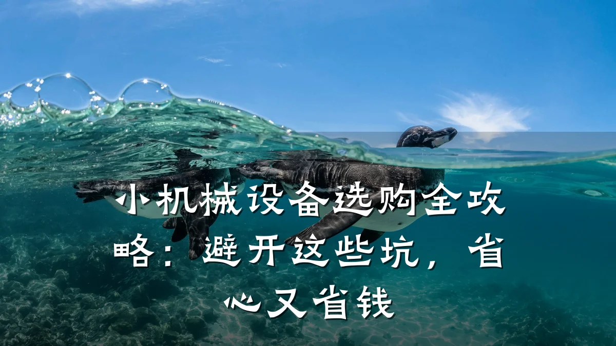 小机械设备选购全攻略:避开这些坑,省心又省钱