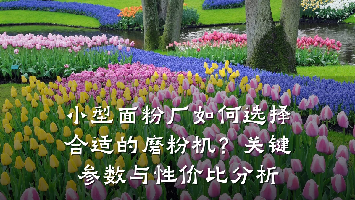 小型面粉厂如何选择合适的磨粉机？关键参数与性价比分析