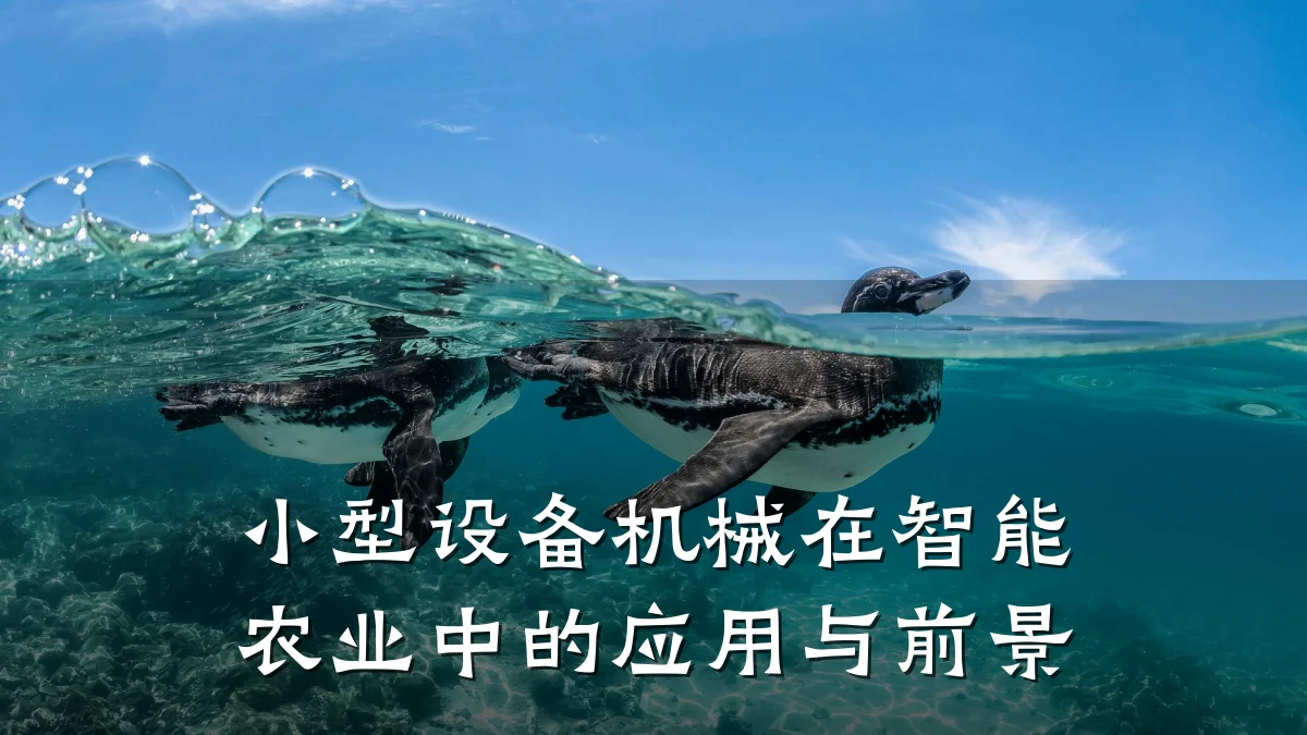 小型设备机械在智能农业中的应用与前景